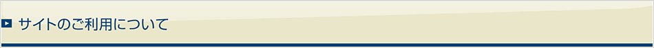 サイトのご利用について